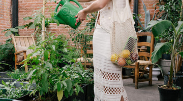 Sky Farms: How Mexico’s Rooftops Are Re-Greening the Concrete