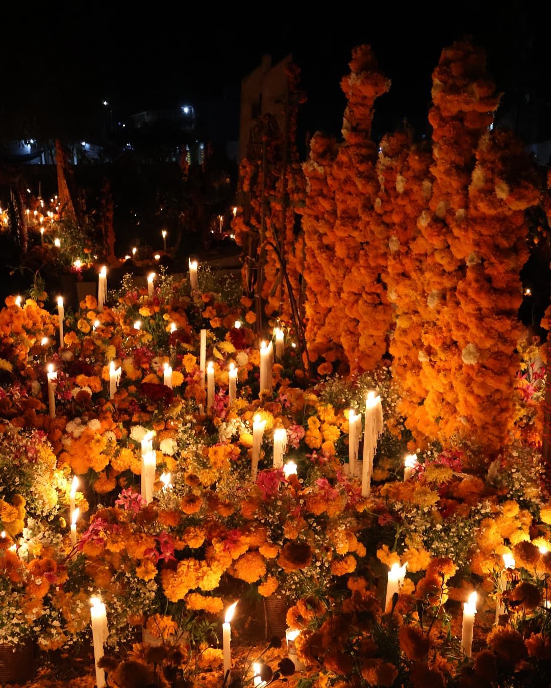 Día de Muertos in Mexico City:  5 Events You Won’t Want to Miss
